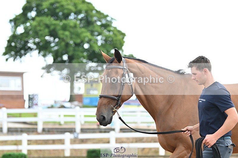 240717A-143641-02148 - Trot Up 2pm to 3pm - This folder is not in time order