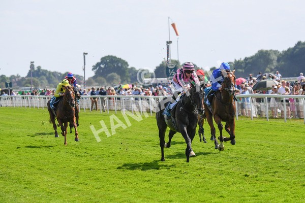 160623-Race 4-Chichester-0477 - Race 4 3.35pm Seat Unique Ganton Stakes