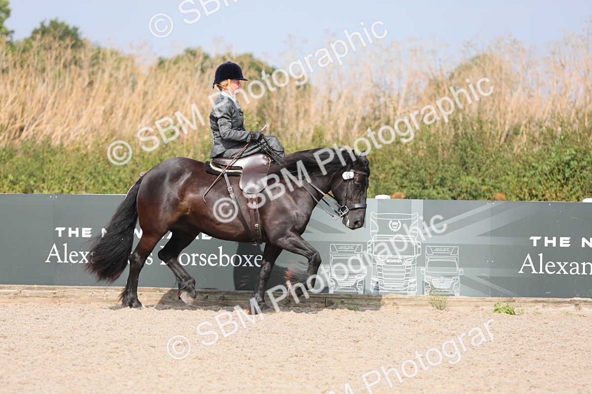SBM_14535 - Class 211 Best Side Saddle Horse/Pony
