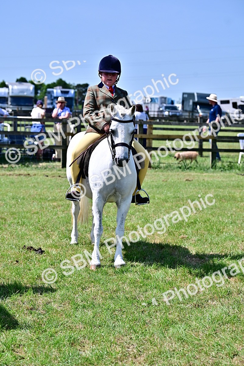 SBM_14015 - Class 95-97 - BSPS LHS Performance Ponies