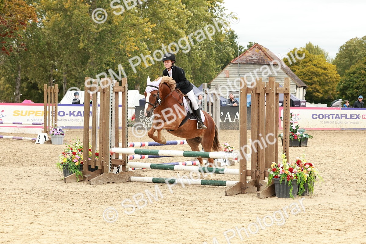 SBM_67046 - J13 - Junior Pony 60cm Championship