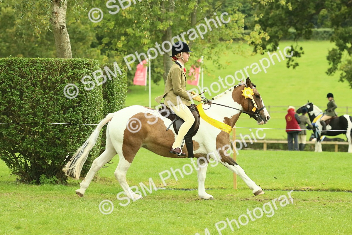 SBM_75018 - Ridden Pony Supreme Championship