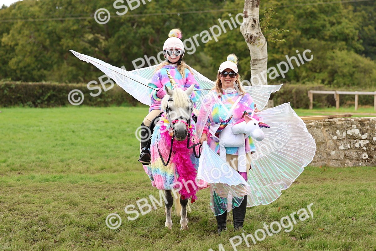 SBM_62181 - S37b - Best Unicorn