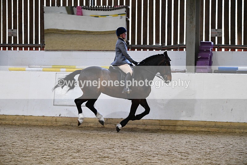 WJ5_7784 - Class 13 Ridden Part Breed