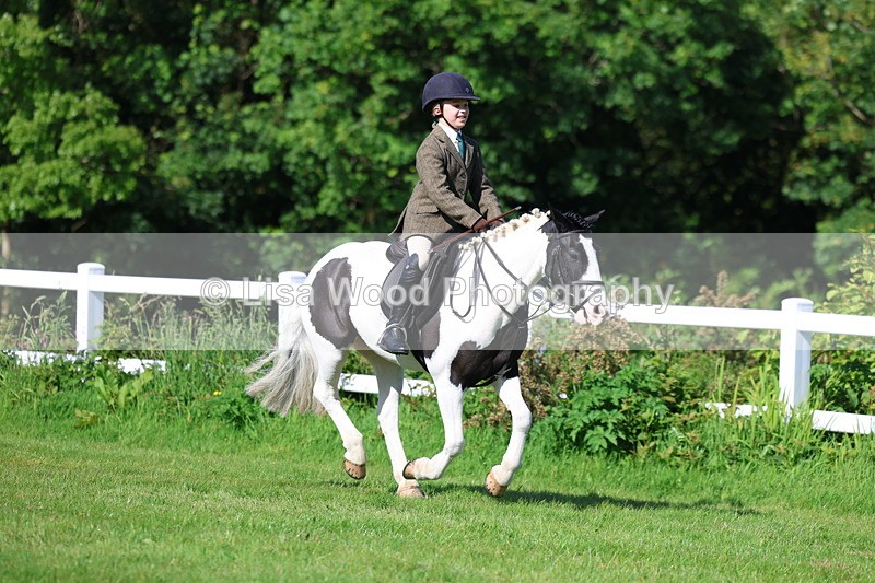 3E7A5980 - Class 27: Novice Working Hunter Pony