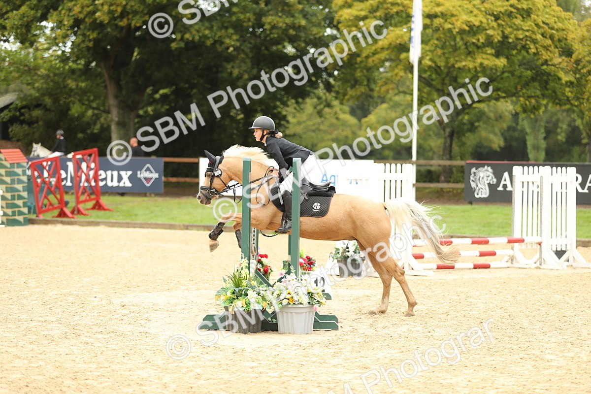 SBM_34244 - J60 Clear Round 50cm