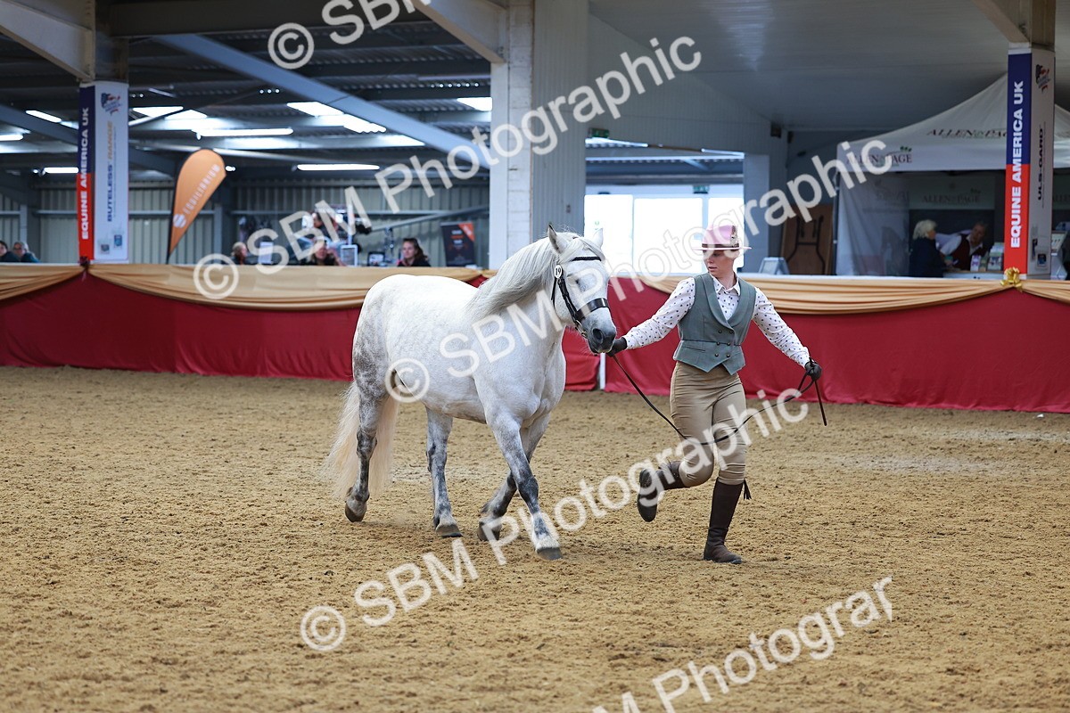 SBM_04122 - Class 9R - IH Pre-Vet