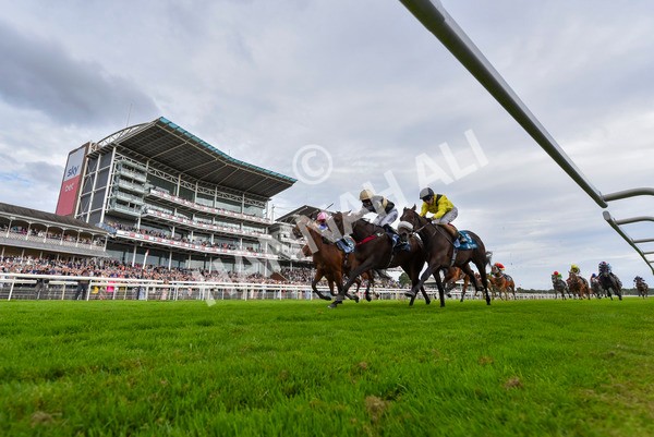 220824-Race 7-Alfa Kellenic-4129 - Race 7 5.20pm British EBF Fillies' Handicap
