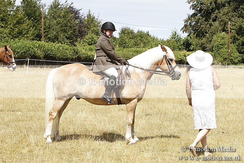 _BS_0805 - BVRC Show 2018 Ring 1