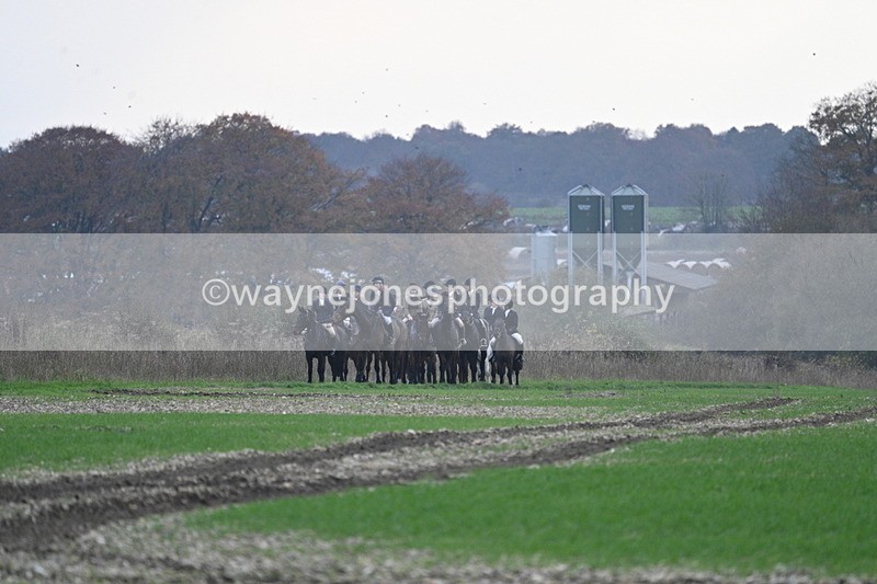 WJ7_0243 - Camera 1 & Last fence