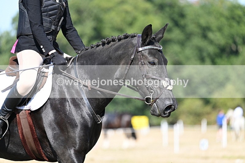 WJ7_9502 - Time 10:32 to 10:55