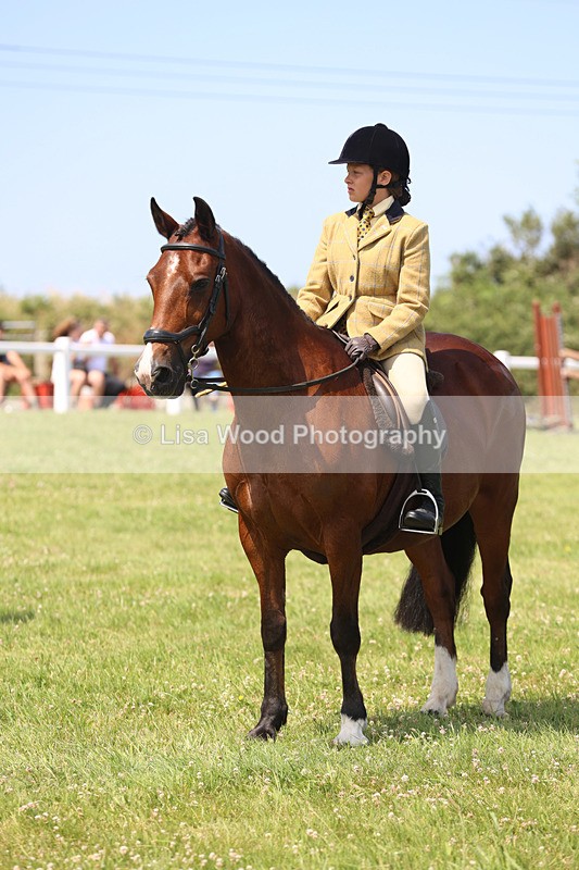 JPP_3321 - Class 22: Working Hunter 70cm