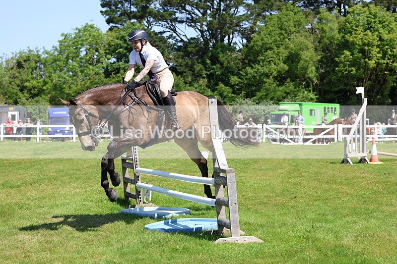 3E7A6934 - Class 30: Novice Working Hunter