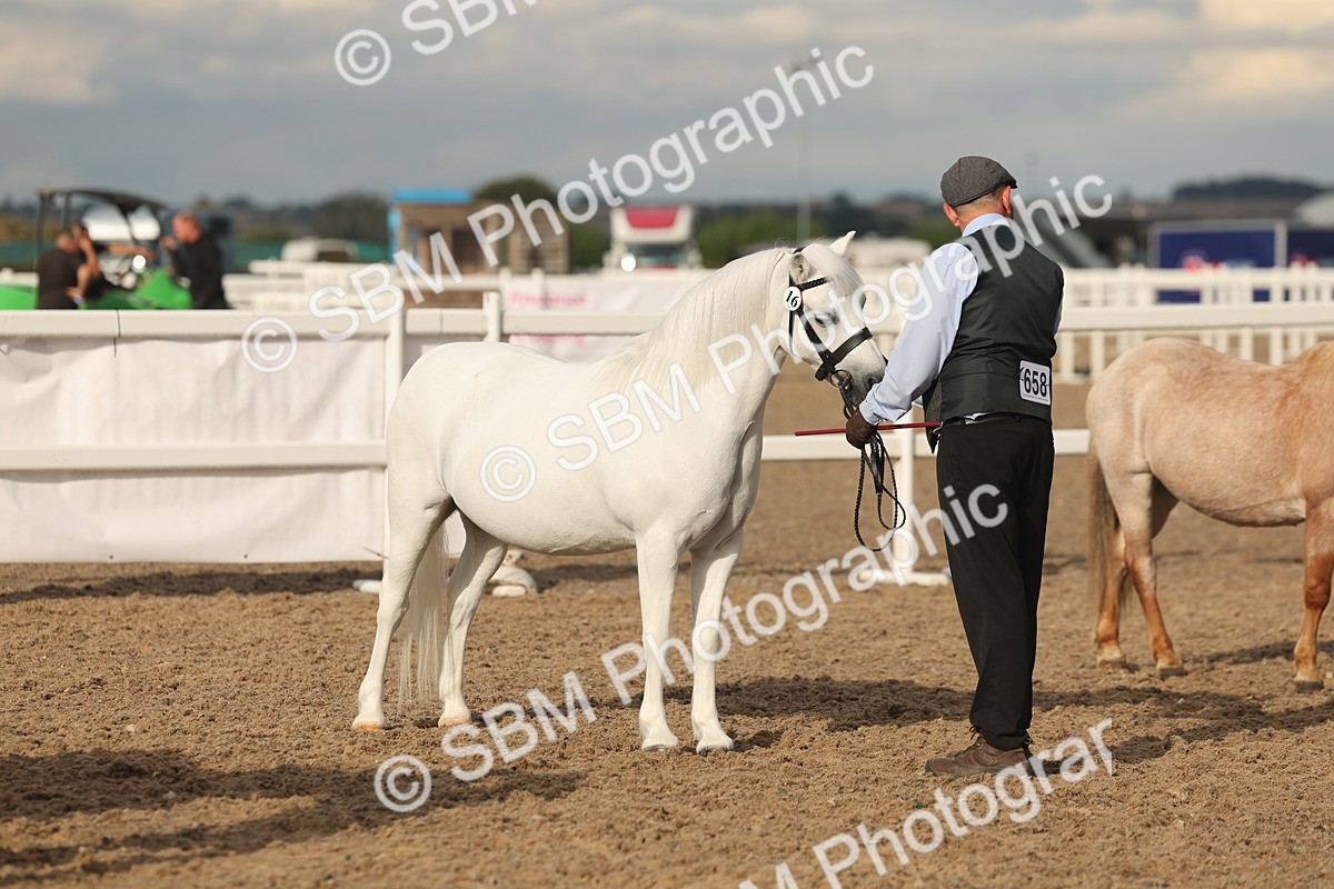 SBM_08577 - Class 29 - IH Veteran Pony