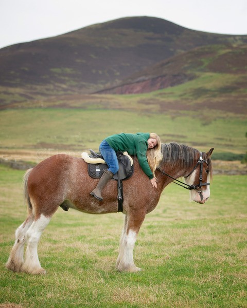 Dionne-86 - DGClydesdales