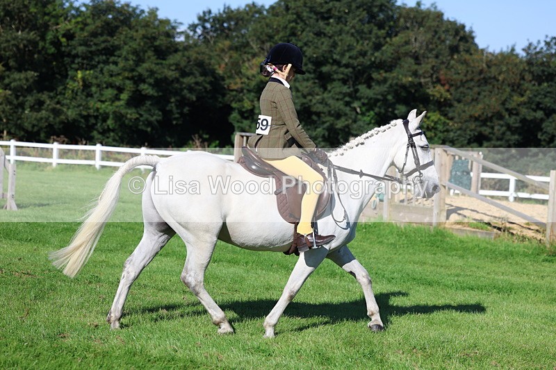 3E7A7651 - Class 1: Novice Working Hunter Pony