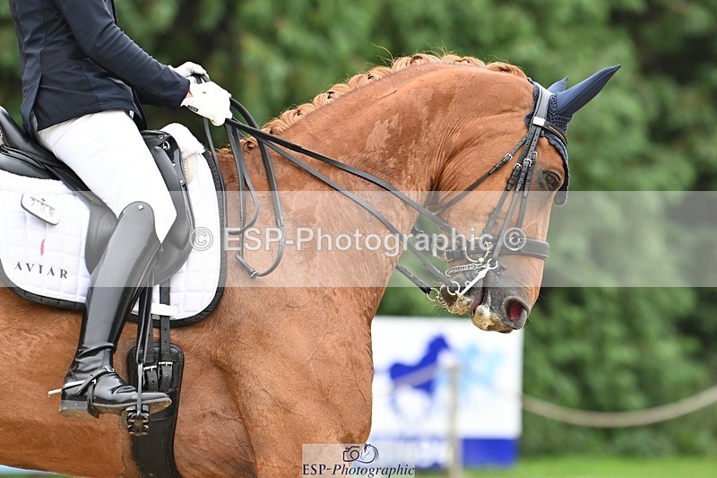 240811-113353-05205 - 208-Tom.Carter-Rubin.Regal