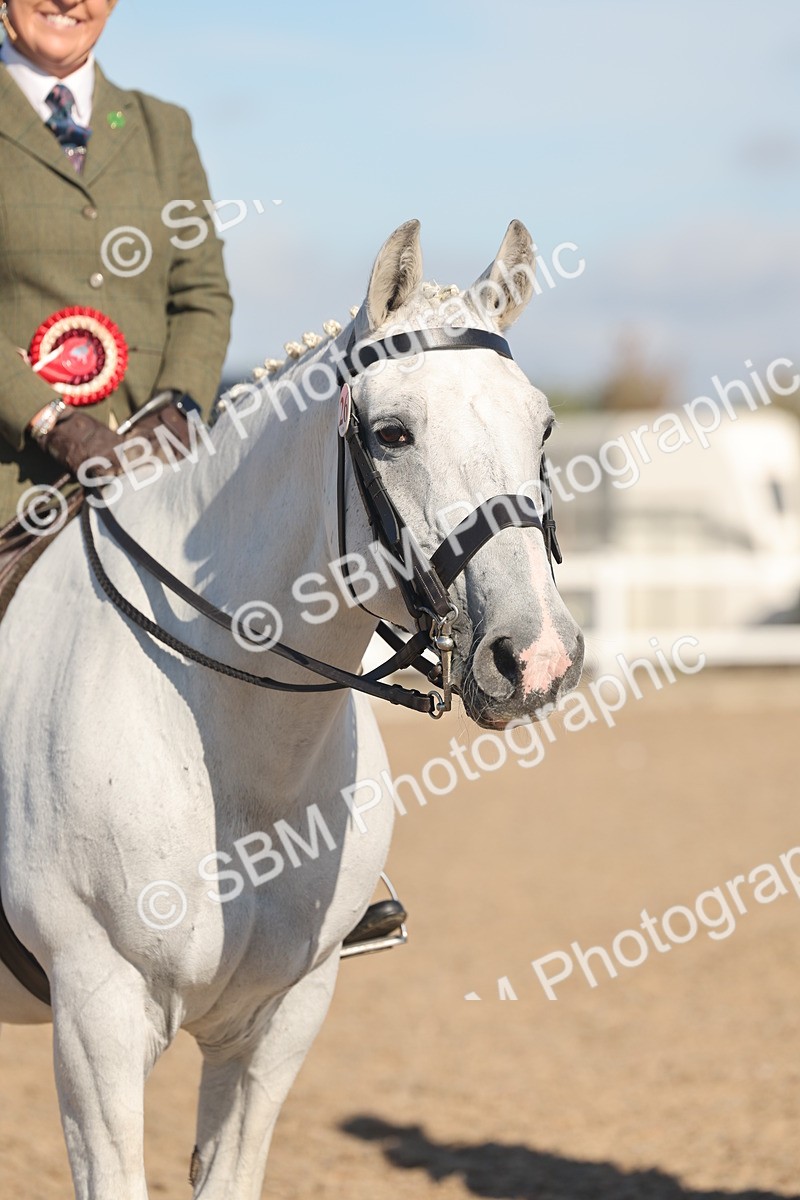SBM_12246 - Class 303 - Ridden Pure Bred Horse Pony
