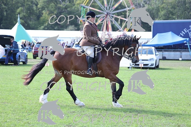 APP_3740 - Class 12 M&M ridden