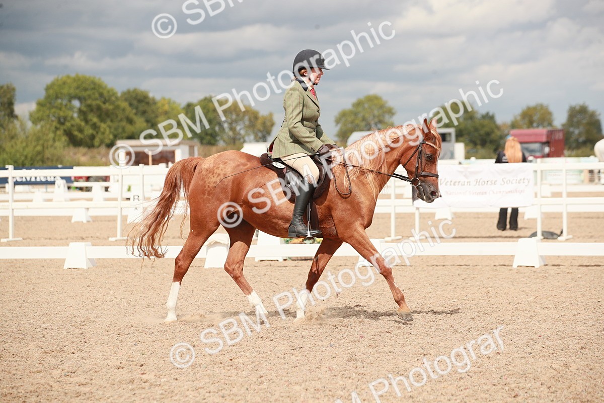 SBM_05989 - Class 32 - Novice 1