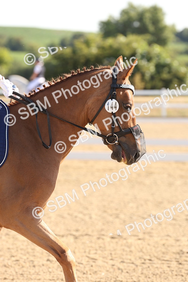 SBM_000046 - Intro 2 Warm Up