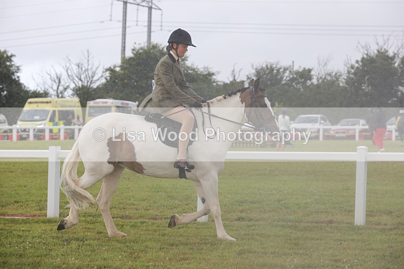 1X9A2999 - Class 26: Ridden Plaited Coloured Pony