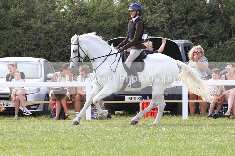 JPP_3878 - Class 23: Working Hunter 80cm