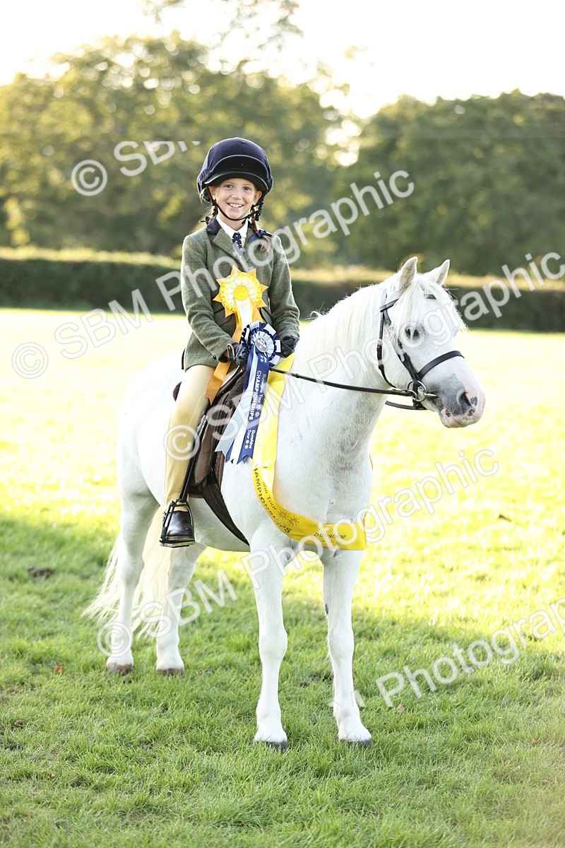 SBM_30145 - Novice & Newcomers Supreme Championship