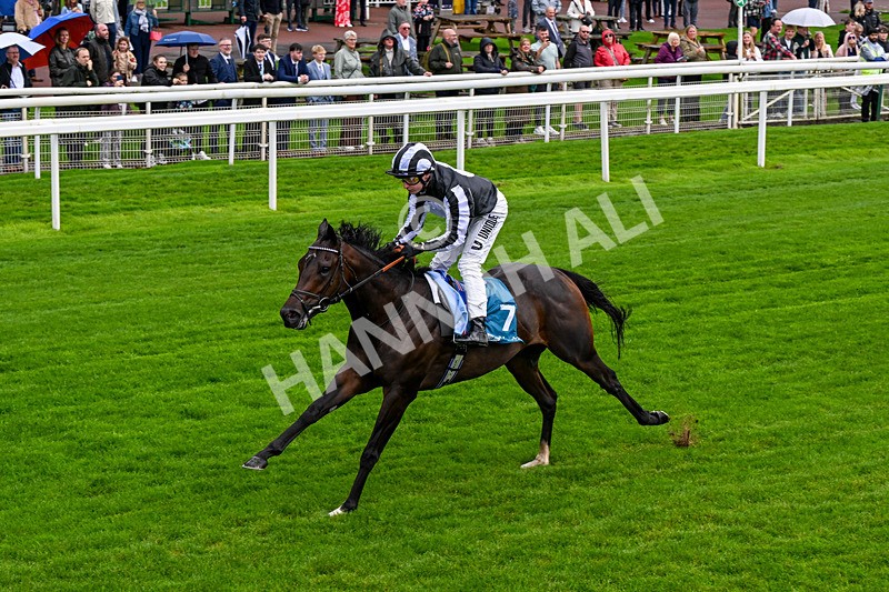 060926-Race 1-Mezzo Forte-0052 - Race 1 1.30pm Irish Thoroughbred Marketing 'Confined' EBF Maiden Stakes