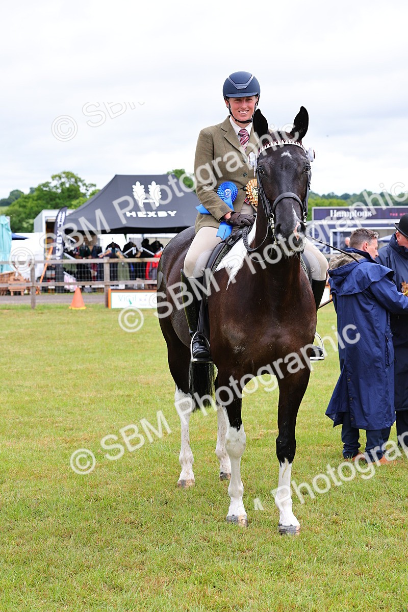 SBM_02556 - Class 9-11 Side Saddle including LIHS Rising Star Ladies Show Horse