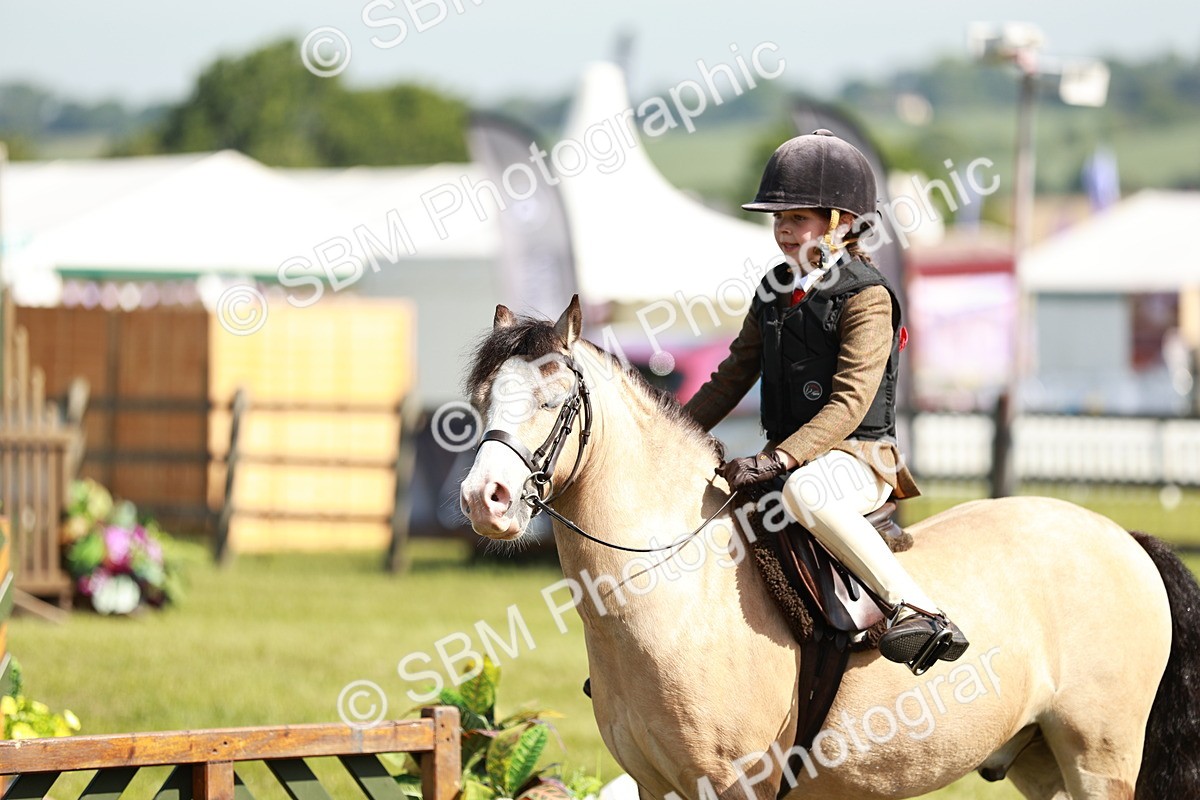 SBM_12698 - Class 106-107 - BSPS LIHS Working Sports Pony