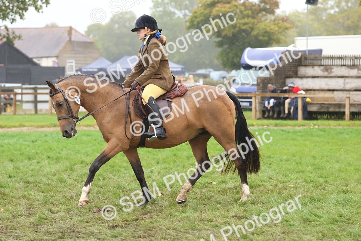 SBM_73033 - S63 Show Pony & Show Hunter Pony Ridden