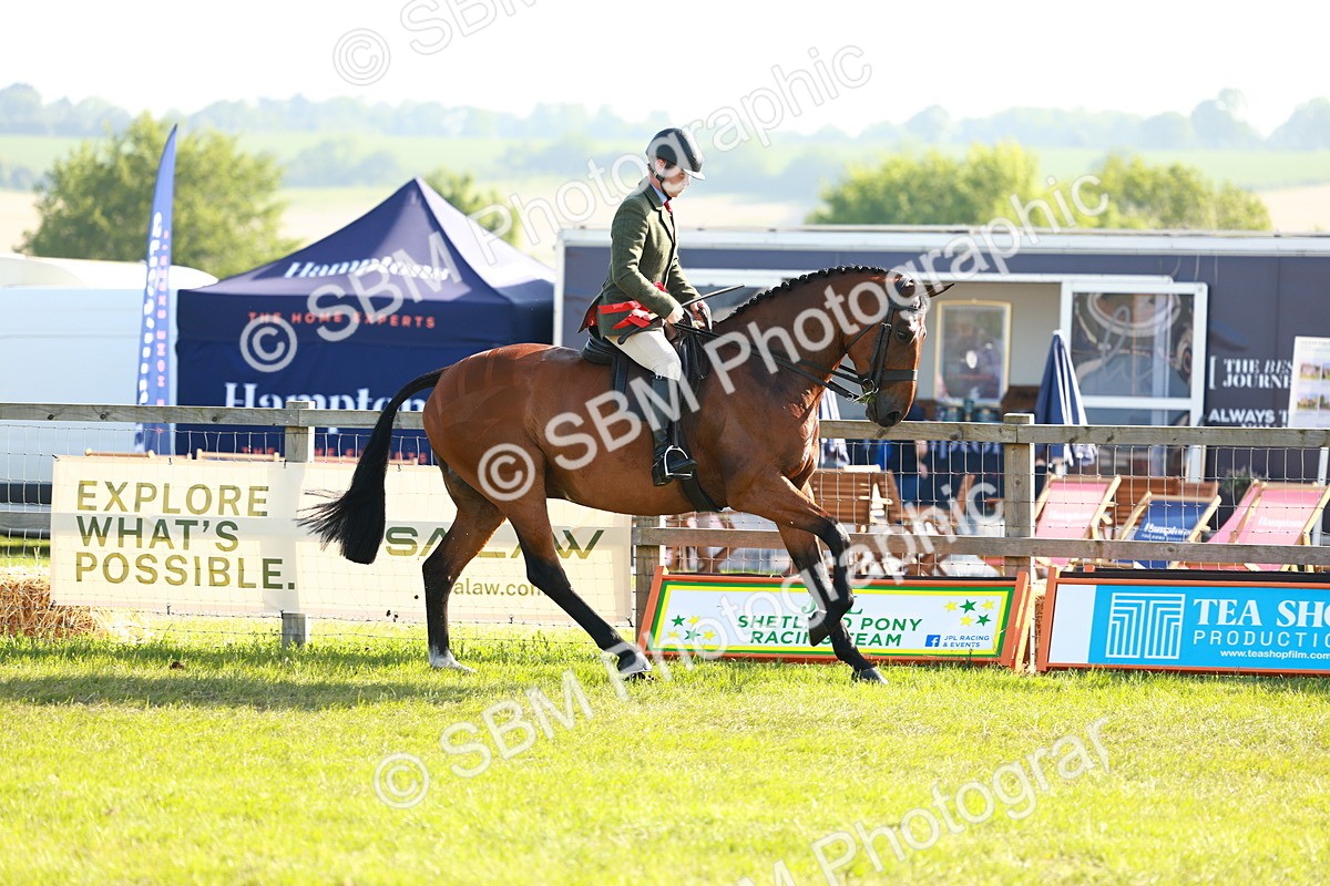 SBM_10846 - Class 66-69 - RIHS Ridden Hunters Inc Small Hunter