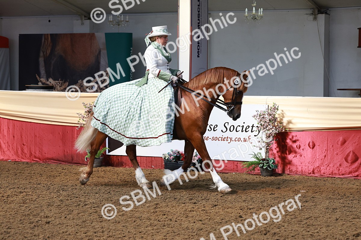 SBM_13688 - Class 106 - Ridden Costume -Astride Adult (15-19)