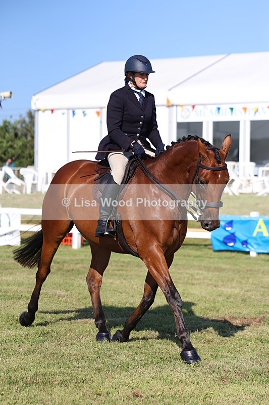 3E7A5508 - Class 2: Rising Star Large Hack/Riding Horse