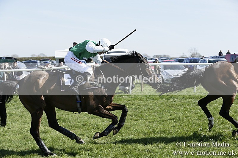 PtP 260317 106 - Mendip Farmers Point-to-Point Ston Easton 26/03/17