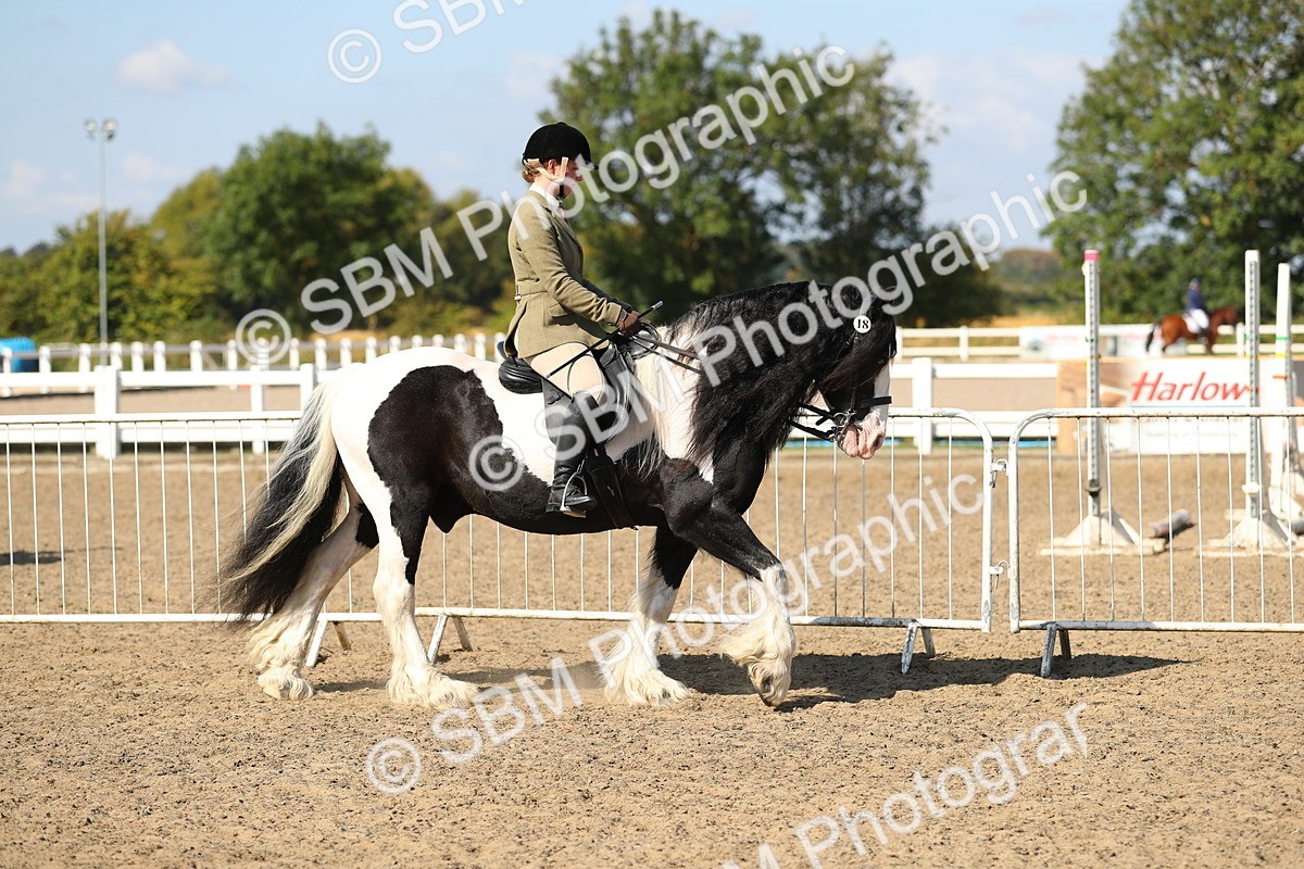 SBM_03100 - Class 44 Riding Club Horse/ Pony