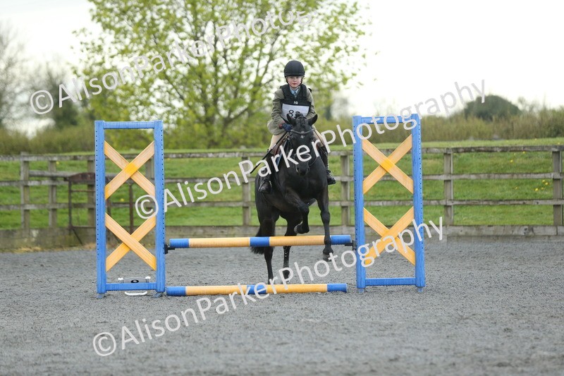 20260412-1895 - Show Jumping