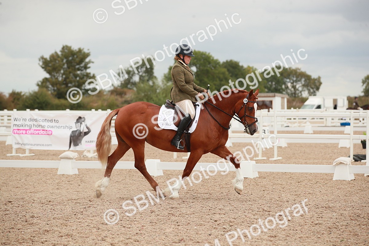 SBM_06092 - Class 33 - Elementary 1