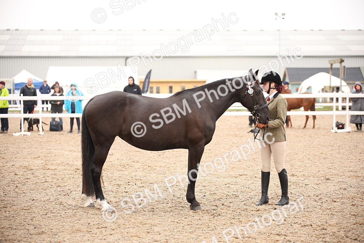 SBM_19294 - Class 701 - Best Turned Out IH & Ridden