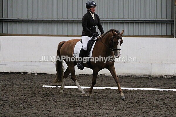 SIAL4294 - CAbin Dressage 5th july 2025