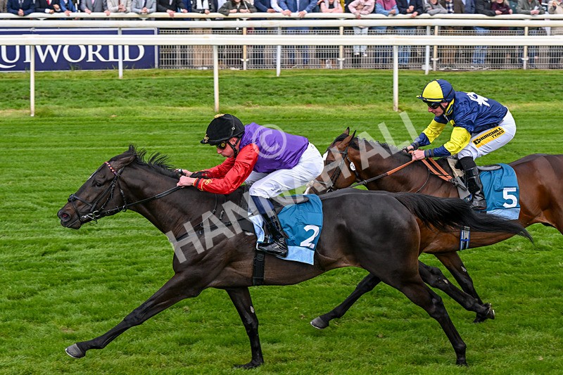 150526-Race 7-Portcullis-0420 - Race 7 5.15pm Darley EBF 'Confined' Novice Stakes