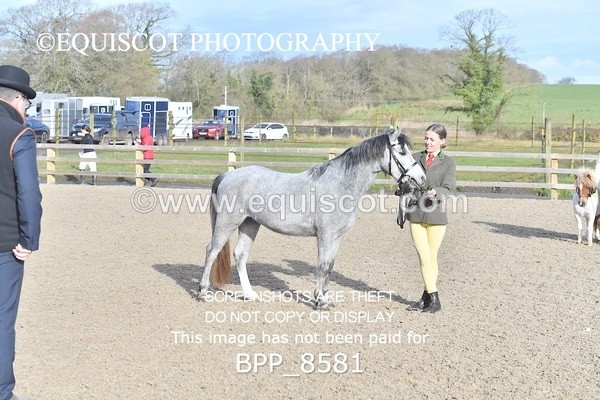 BPP_8581 - RING 2 - M&M