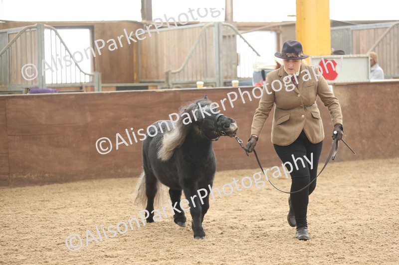 20251109-0037 - Class 3 - 2 and 3 Year Old