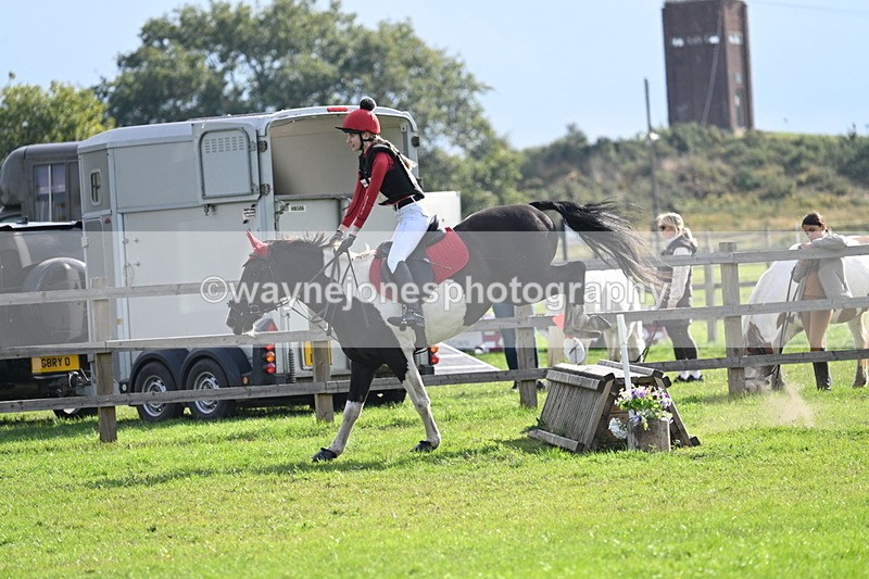 WJ7_4900 - 60cm Time 11:11 to 11:19