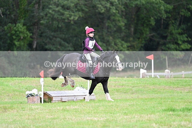 WJ7_7329 - 40cm Time 10:06 to 10:24