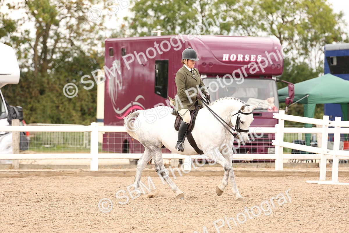 SBM_16480 - Class 212 - Ridden Hunter - Small