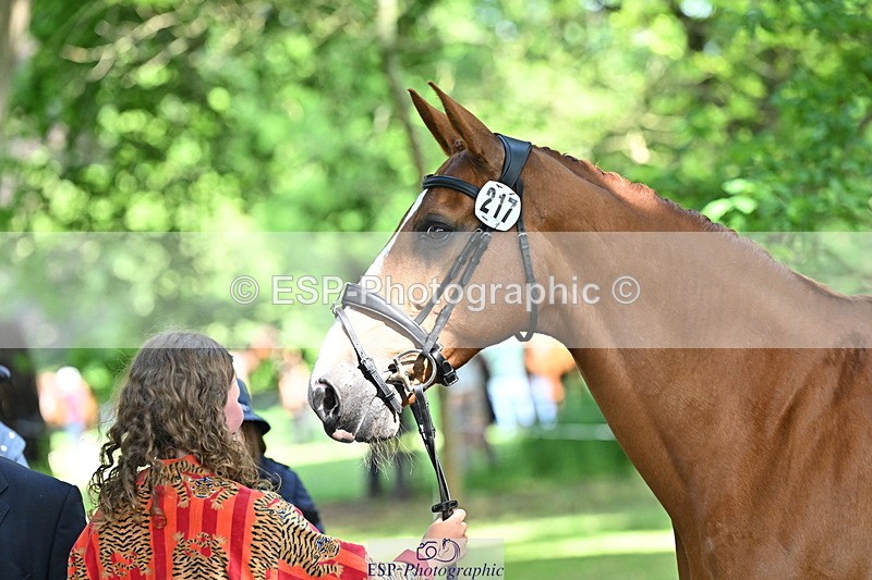 250521A-162225-01095 - C-217-Polly.Kilgour-RENKUM.LADY.VOS