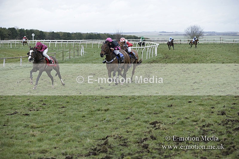 PtP 150320 0867 - New Forest Point-to-Point Larkhill 15/03/20