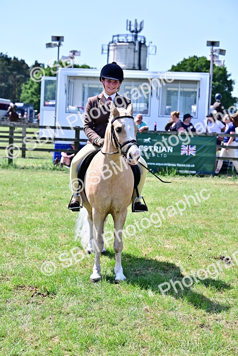 SBM_15364 - Class 95-97 - BSPS LHS Performance Ponies
